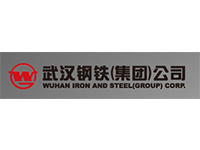 武漢武鋼 